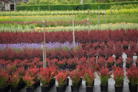 Парк в Синельниково – центр для создания нового города