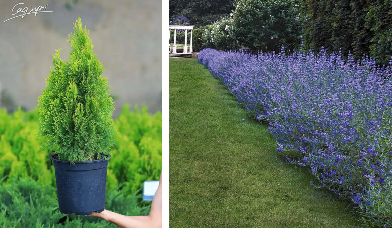 Акции начала лета: скидки и подарки