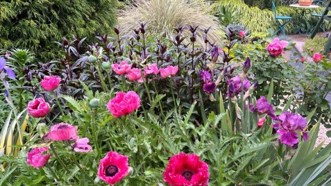 Сади по-новому: 8 свіжих трендів ландшафтного дизайну сезону 2026