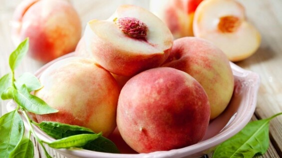 Плодові саджанці зі знижкою -15%