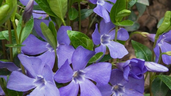 Старт сезону! Знижка 5 % на ВСЕ!