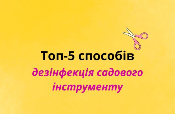 Дезінфекція садового інструменту: ТОП-5 найкращих способів Дезінфекція садового інструменту: ТОП-5 найкращих способів