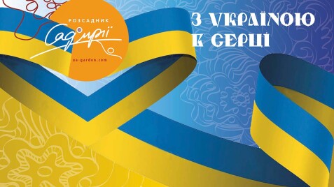 До Дня Незалежності - ЗНИЖКИ на всі товари від 'Саду мрії'