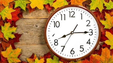 З 1 листопада почне діяти зимовий графік роботи Садового центру! 