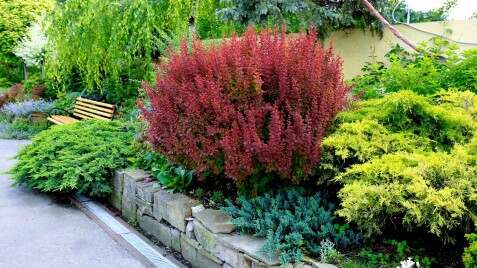 НА ПОРОГЕ ЛЕТА: скидки более 30% від “Саду мрії”