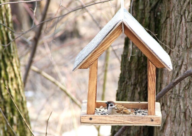 Годівнички для пташок своїми руками: 7 простих ідей Годівнички для пташок своїми руками: 7 простих ідей