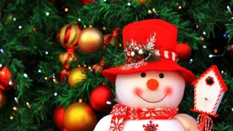 Пропонуємо симпатичні прикраси для ваших яскравих зимових свят!