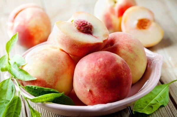 Плодові саджанці зі знижкою -15%