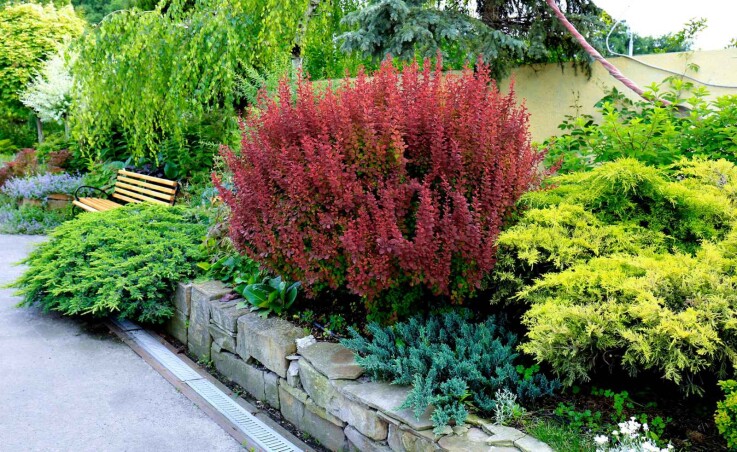 НА ПОРОГЕ ЛЕТА: скидки более 30% від “Саду мрії”