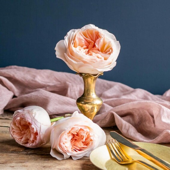 Роза чайно-гибридная 'Juliet' - 4 Роза чайно-гибридная 'Juliet' - 4