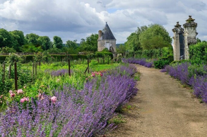 Специальные цены на популярные растения для сада в природном стиле!
