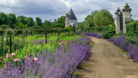 Специальные цены на популярные растения для сада в природном стиле!