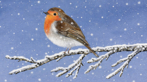 Садовий центр повертається до роботи з 19 січня!