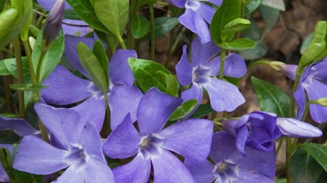 Старт сезону! Знижка 5 % на ВСЕ!