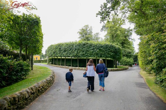 Липа крупнолистная, топиар, ф.шпалера #1, WRB 35--40 350-400 St. 200-225 - 12 Липа крупнолистная, топиар, ф.шпалера #1, WRB 35--40 350-400 St. 200-225 - 12