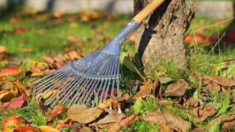 Осінній догляд за садом: поради по підготовці до зими