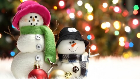 З 20 грудня Інтернет-магазин на канікулах