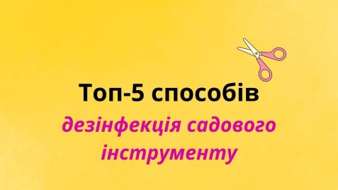 Дезинфекция садового инструмента: ТОП-5 наилучших способов
